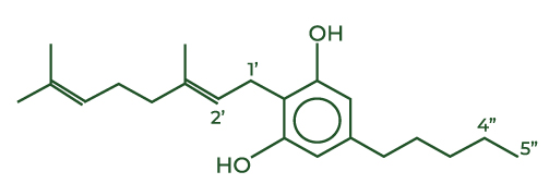 Chemical structure of CBG