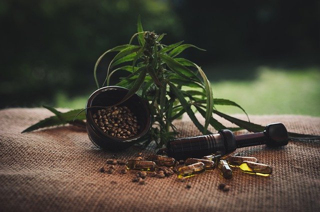 Plant, capsules and seeds on a hessian bag