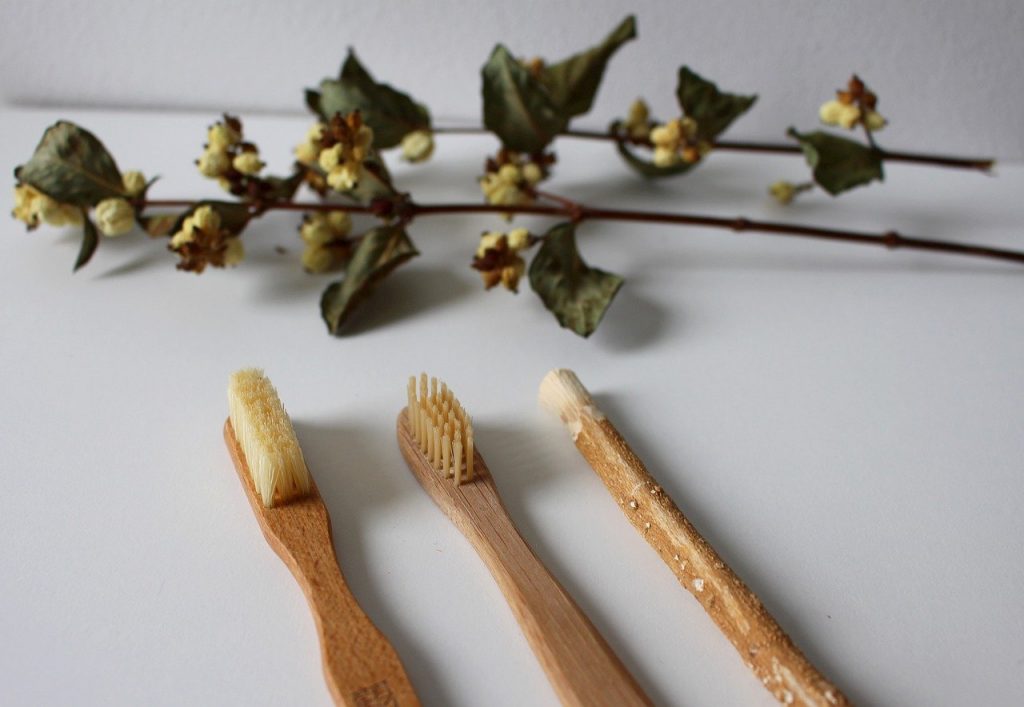 A row of wooden toothbrushes lie on a white background with a sprig of ivy in the background